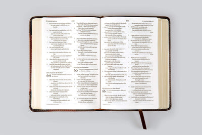 ESV Large Print Compact Bible, Trutone, Berry, Floral Design