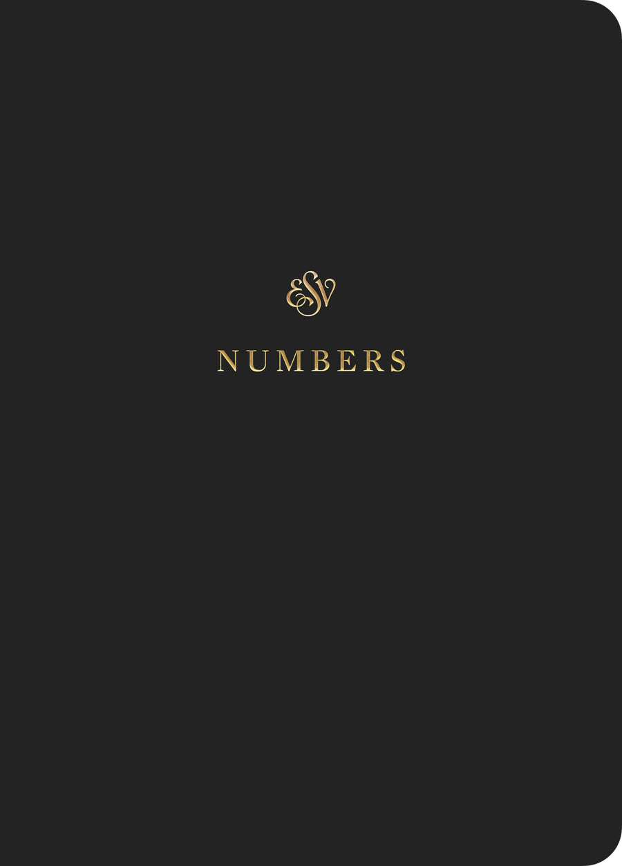 ESV Scripture Journal: Numbers - Re-vived