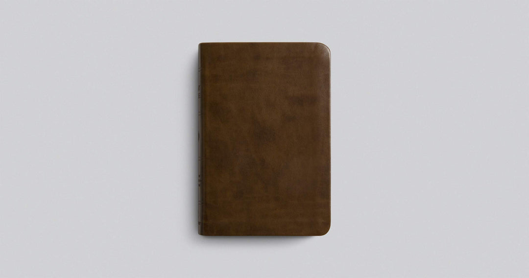 ESV Value Compact Bible, Trutone, Brown - Re-vived