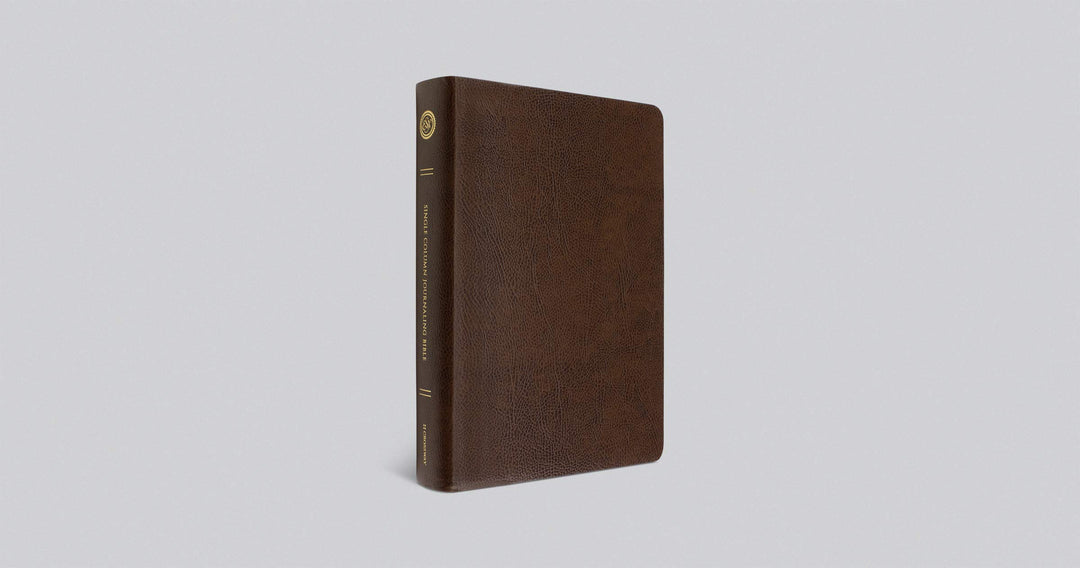ESV Single Column Journaling Bible, Large Print