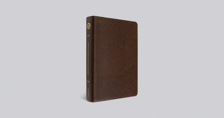 ESV Single Column Journaling Bible, Large Print