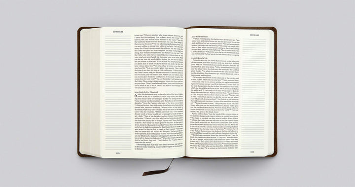ESV Single Column Journaling Bible, Large Print