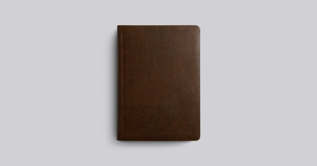 ESV Single Column Journaling Bible, Large Print