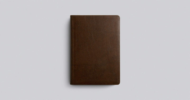 ESV Single Column Journaling Bible, Large Print