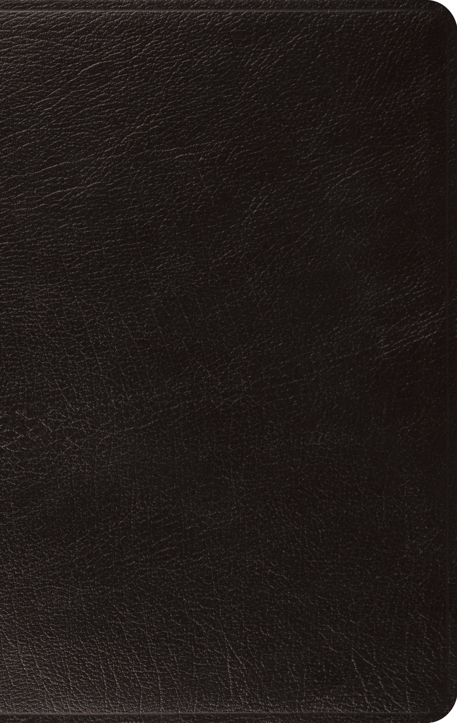 ESV: Large Print, Thinline Bible, Genuine Leather, Black - Re-vived