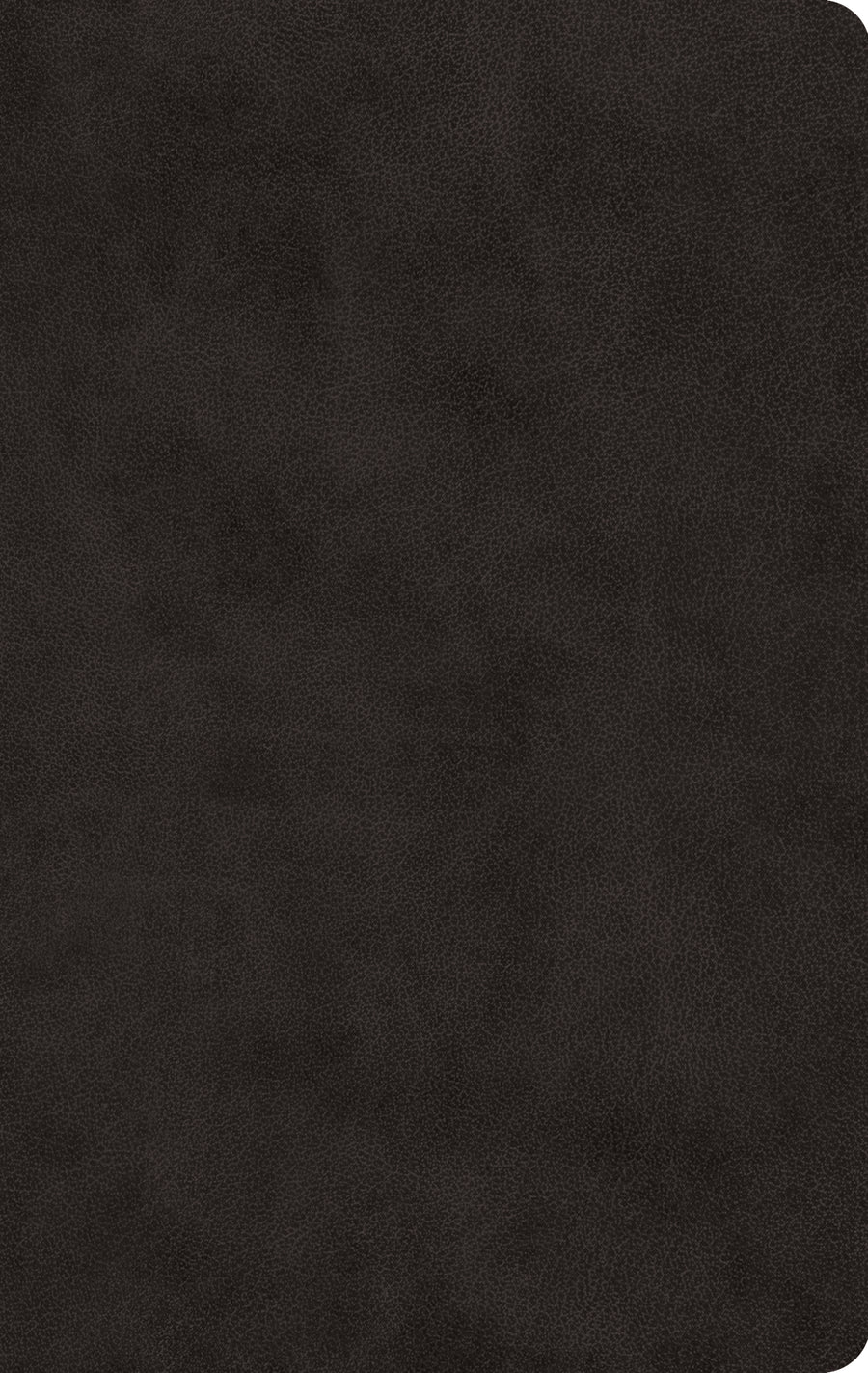 ESV Large Print Value Thinline Bible Trutone, Black - Re-vived