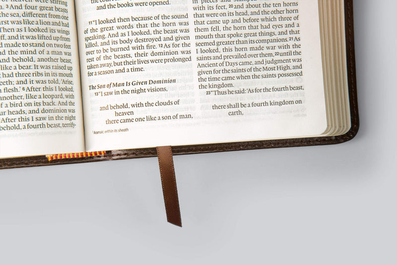 ESV Large Print Compact Bible, Trutone, Teal, Bouquet Design - Re-vived