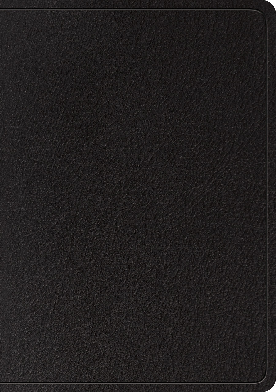 ESV Large Print Wide Margin Bible (Black) - Re-vived