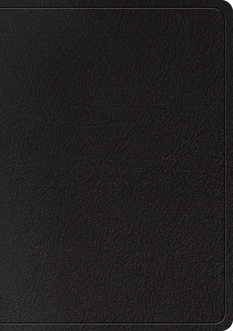 ESV Large Print Wide Margin Bible (Black)