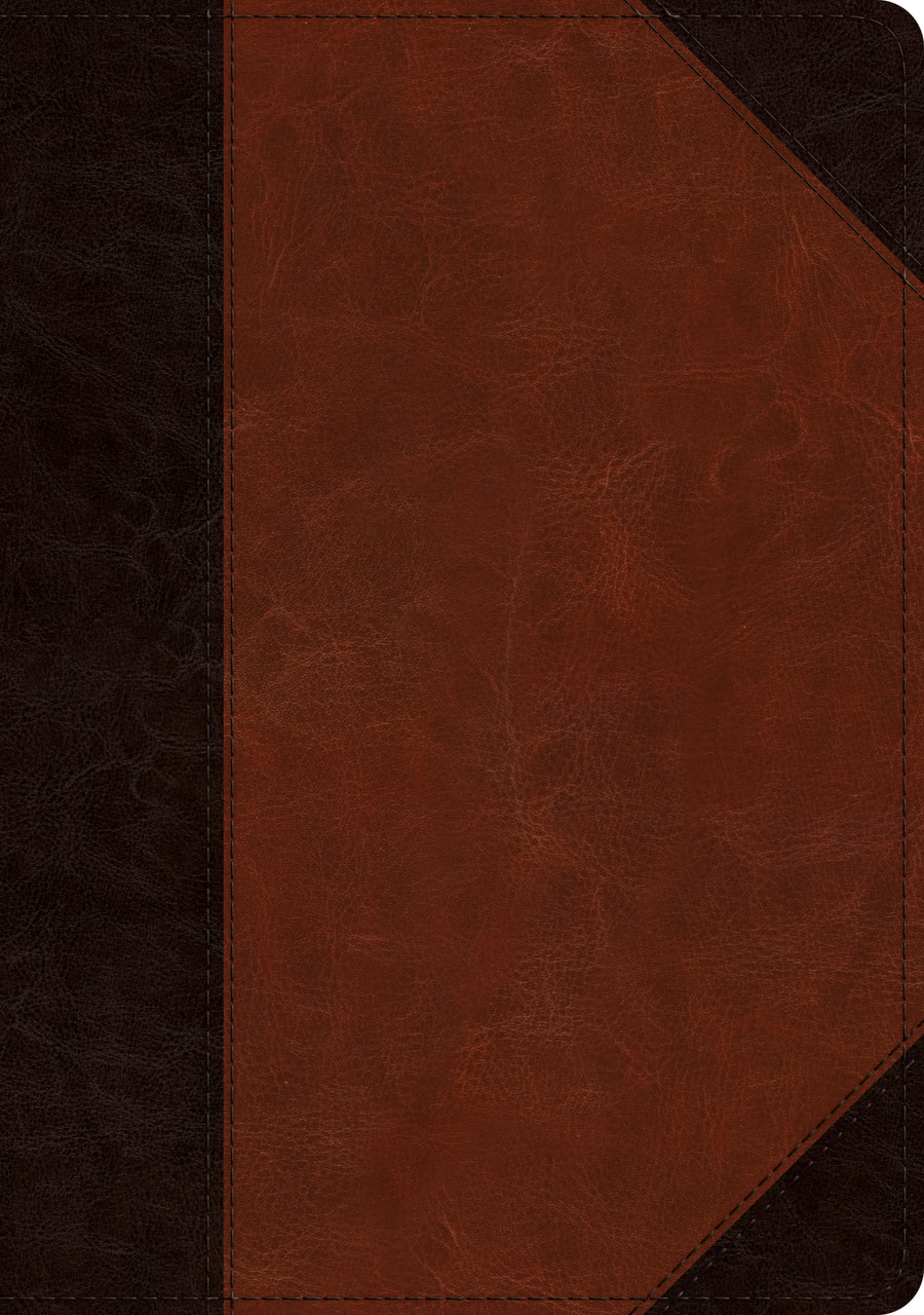 ESV Large Print Wide Margin Bible TruTone, Brown/Cordovan - Re-vived
