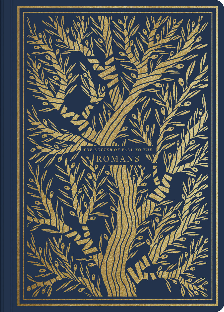 ESV Illuminated Scripture Journal: Romans - Re-vived