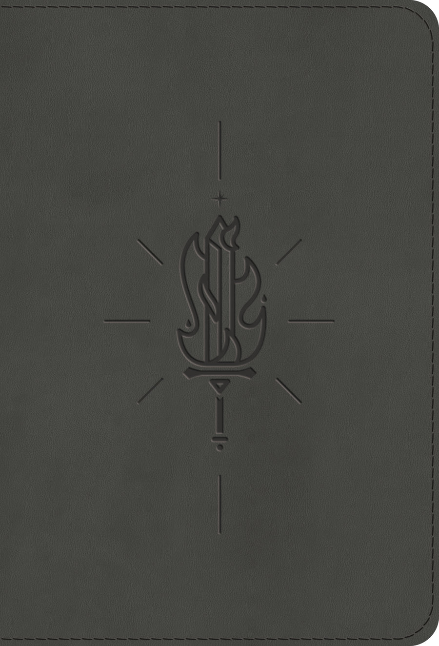 ESV Kid's Bible, Compact, TruTone, Sword of the Spirit - Re-vived