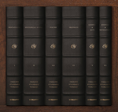 ESV Reader's Bible, Six-Volume Set: Chapter and Verse Number - Re-vived