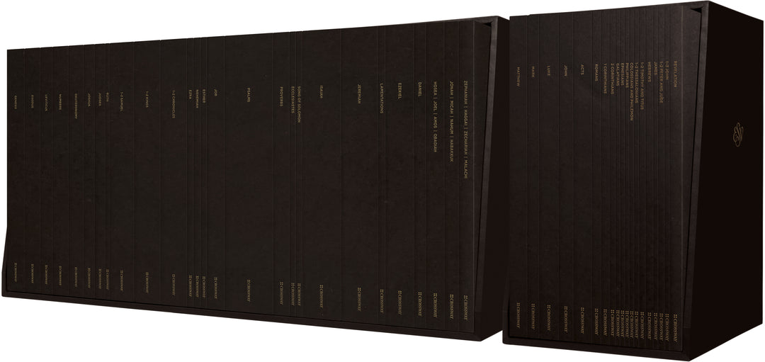 ESV Scripture Journal: Old And New Testament Sets - Re-vived
