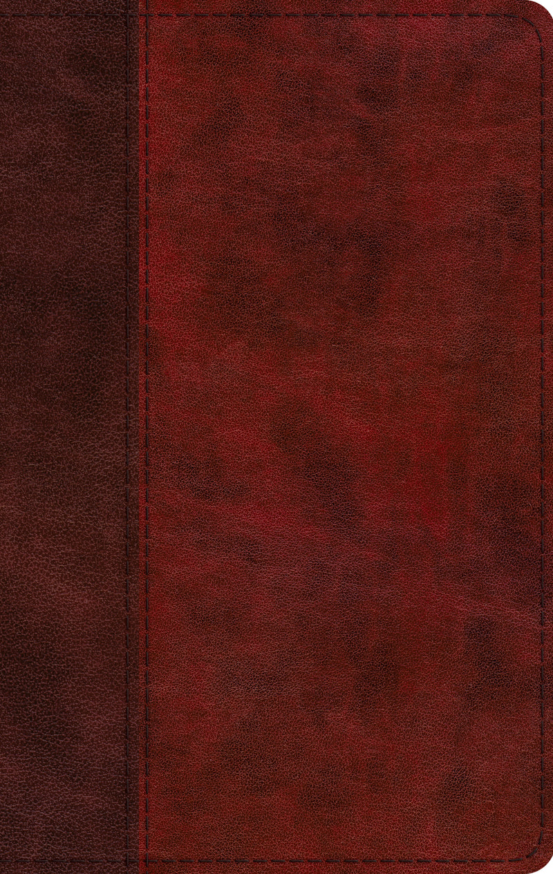 ESV Large Print Thinline Bible, TruTone, Burgundy/Red - Re-vived