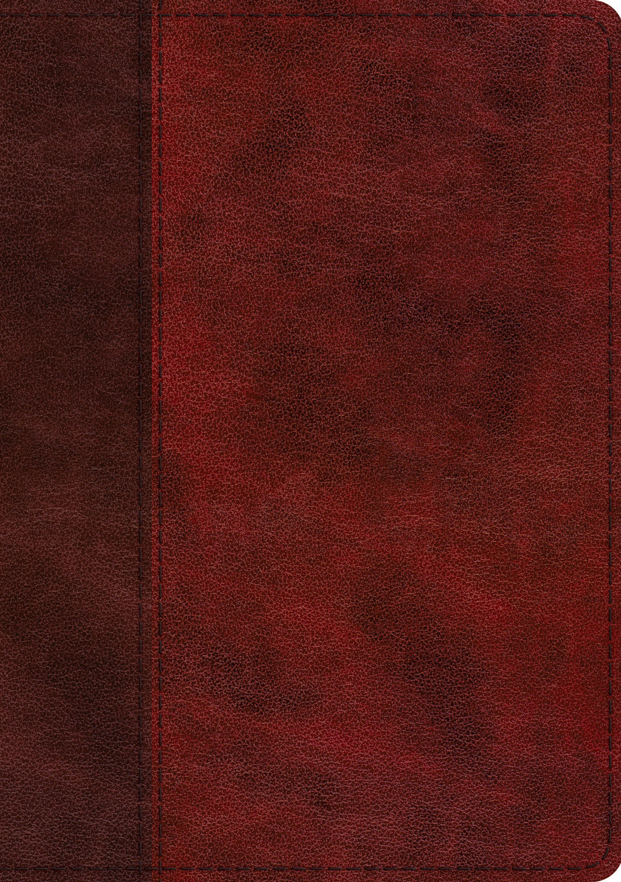 ESV Single Column Journaling Bible, Large Print, Burgundy - Re-vived