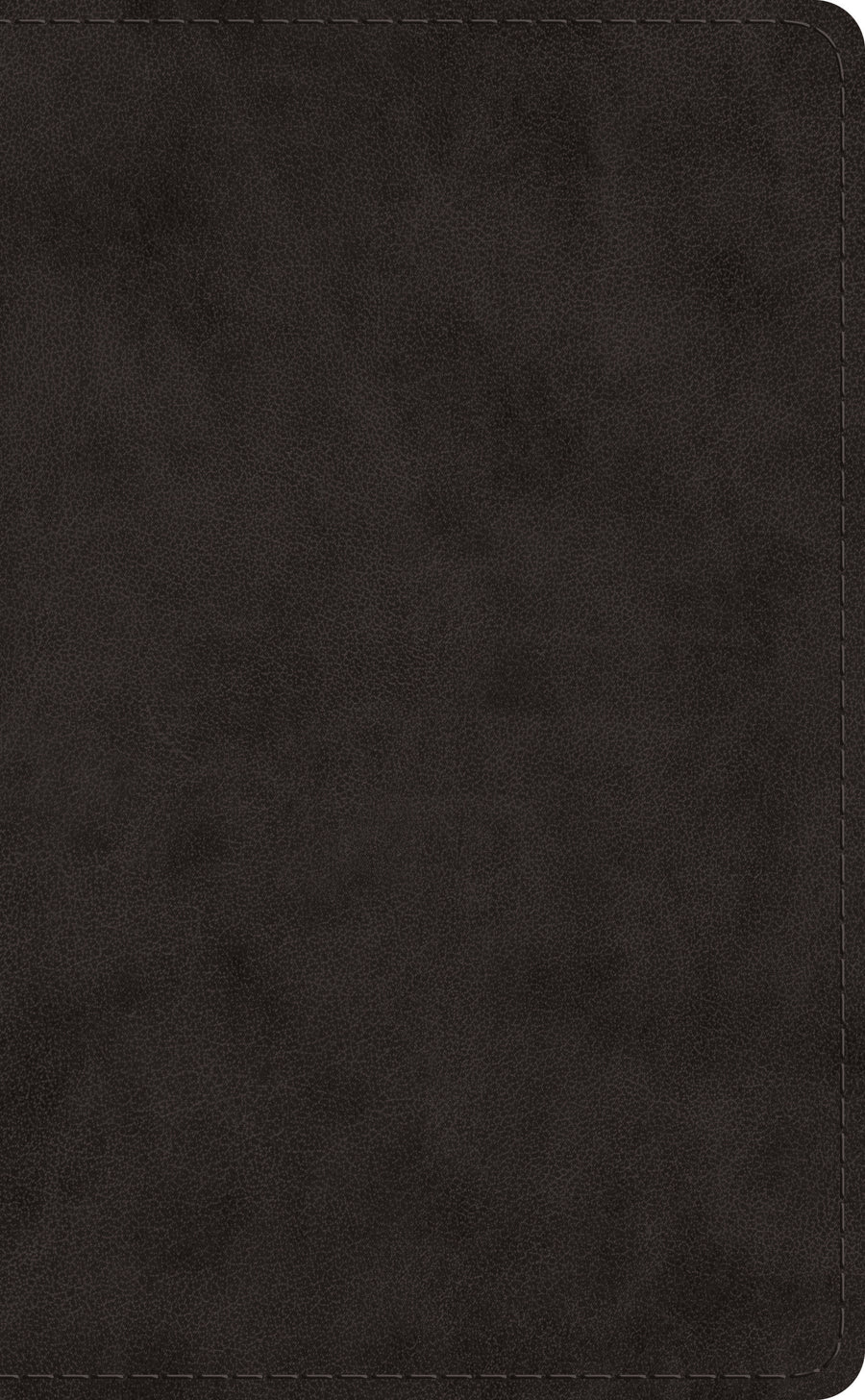 ESV Pocket Bible, Black - Re-vived