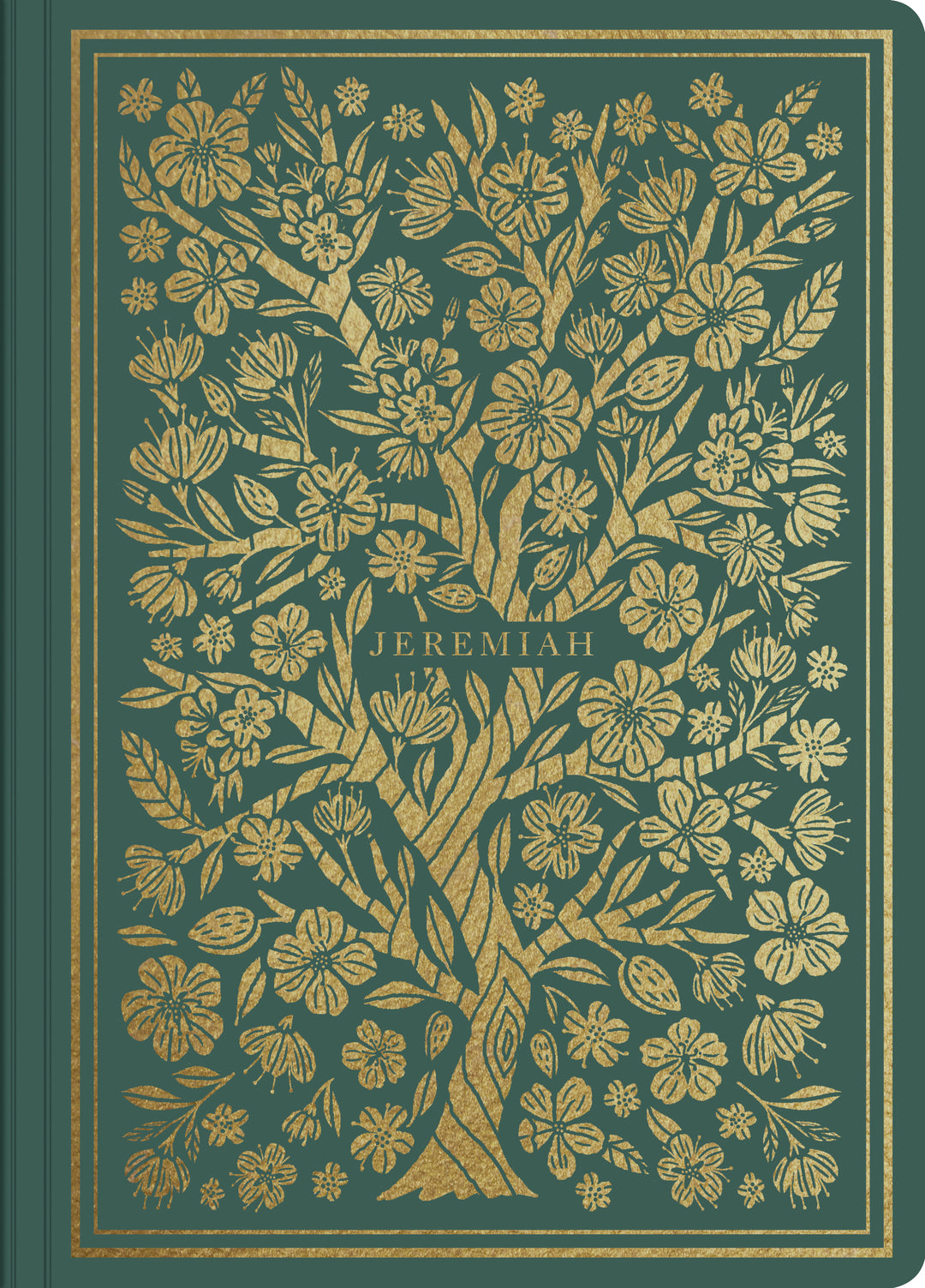 ESV Illuminated Scripture Journal: Jeremiah - Re-vived