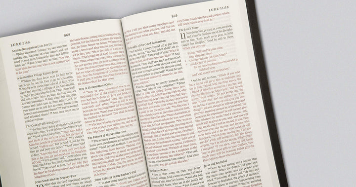 ESV Thinline Bible (Buffalo Leather, Deep Brown) - Re-vived