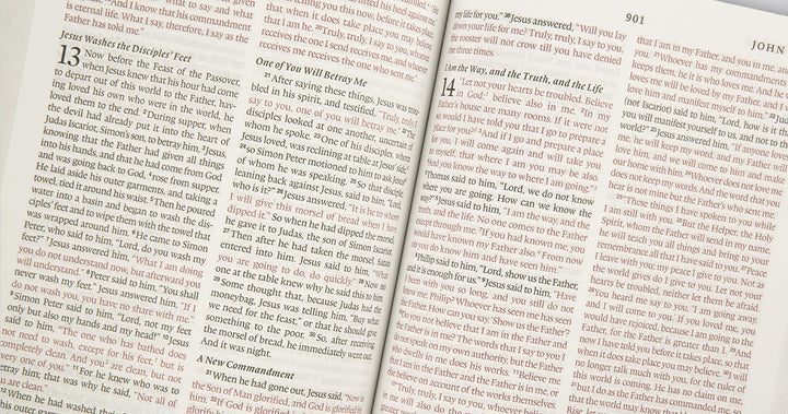 ESV Thinline Bible (Buffalo Leather, Deep Brown) - Re-vived