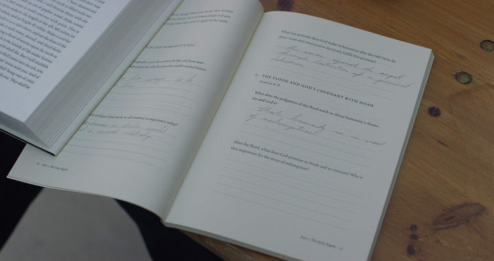 Unfolding Grace Study Guide - Re-vived