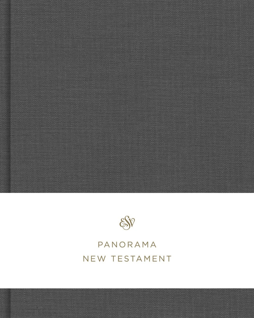 ESV Panorama New Testament, Gray Cloth over Board - Re-vived