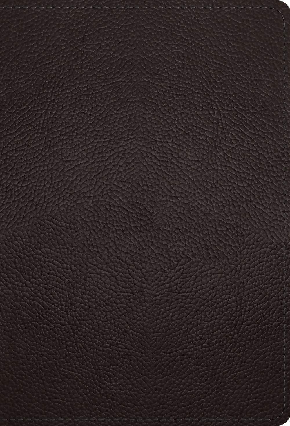 ESV Large Print Compact Bible (Buffalo Leather, Deep Brown) - Re-vived