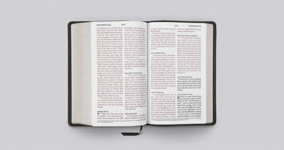 ESV Large Print Personal Size Bible, Buffalo Leather, Brown - Re-vived