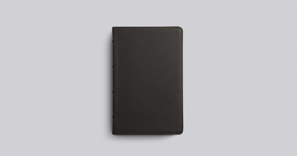 ESV Large Print Personal Size Bible, Buffalo Leather, Brown - Re-vived