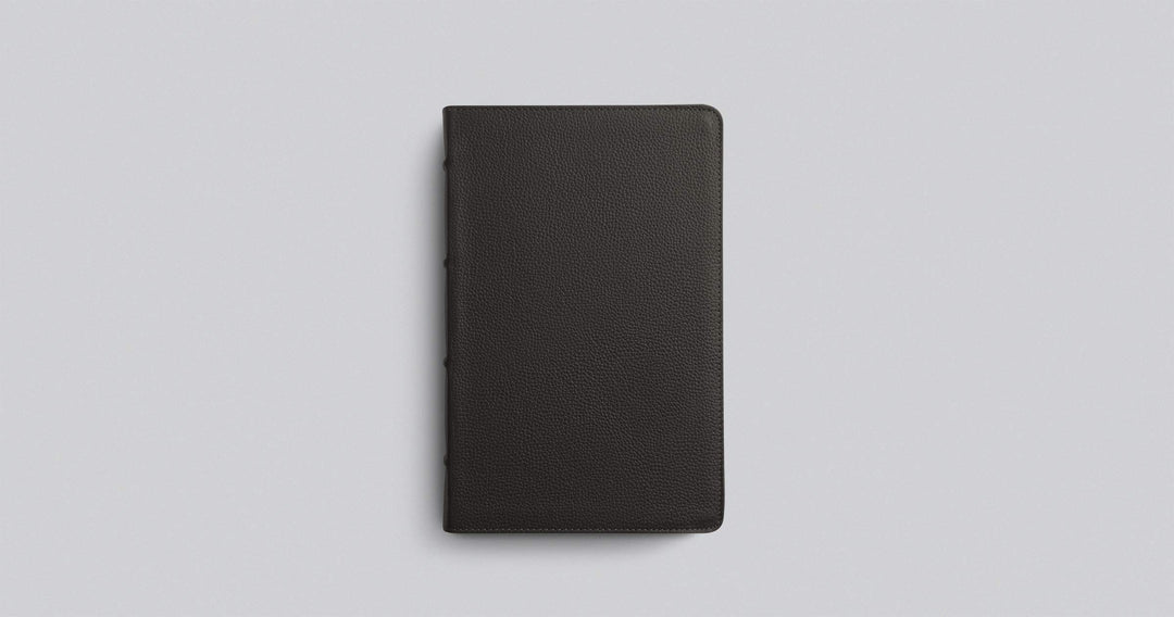 ESV Large Print Personal Size Bible, Buffalo Leather, Brown - Re-vived