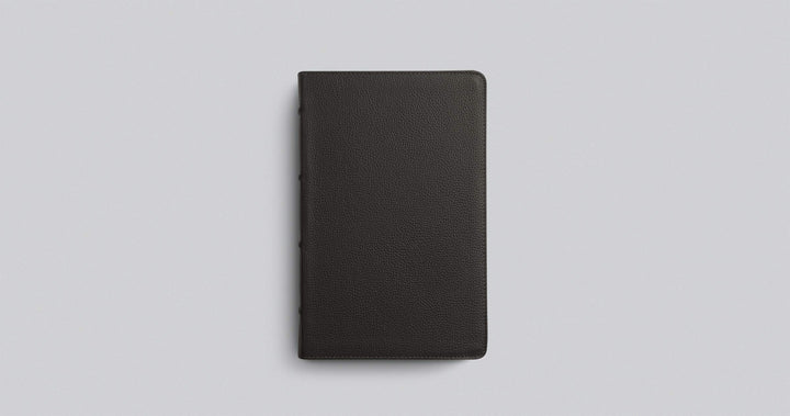 ESV Large Print Personal Size Bible, Buffalo Leather, Brown - Re-vived