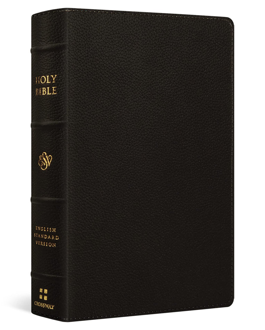 ESV Large Print Personal Size Bible, Buffalo Leather, Brown - Re-vived