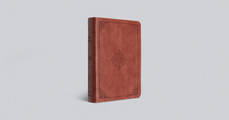 ESV Large Print Compact Bible, TruTone, Terracotta