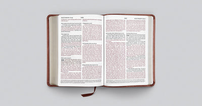 ESV Large Print Compact Bible, TruTone, Terracotta