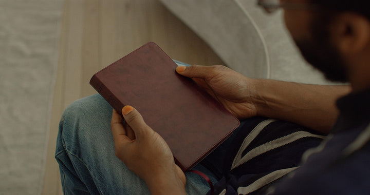 ESV Large Print Thinline Bible, TruTone, Mahogany - Re-vived