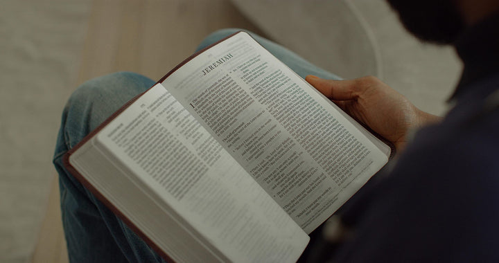 ESV Large Print Thinline Bible, TruTone, Mahogany - Re-vived