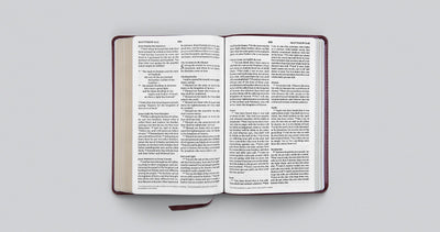 ESV Large Print Thinline Bible, TruTone, Mahogany