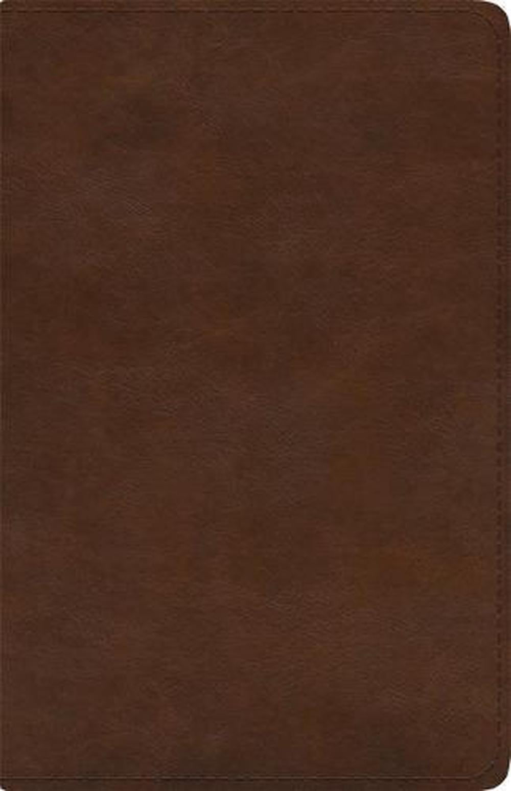 ESV Spanish/English Parallel Bible Imitation Leather - Re-vived