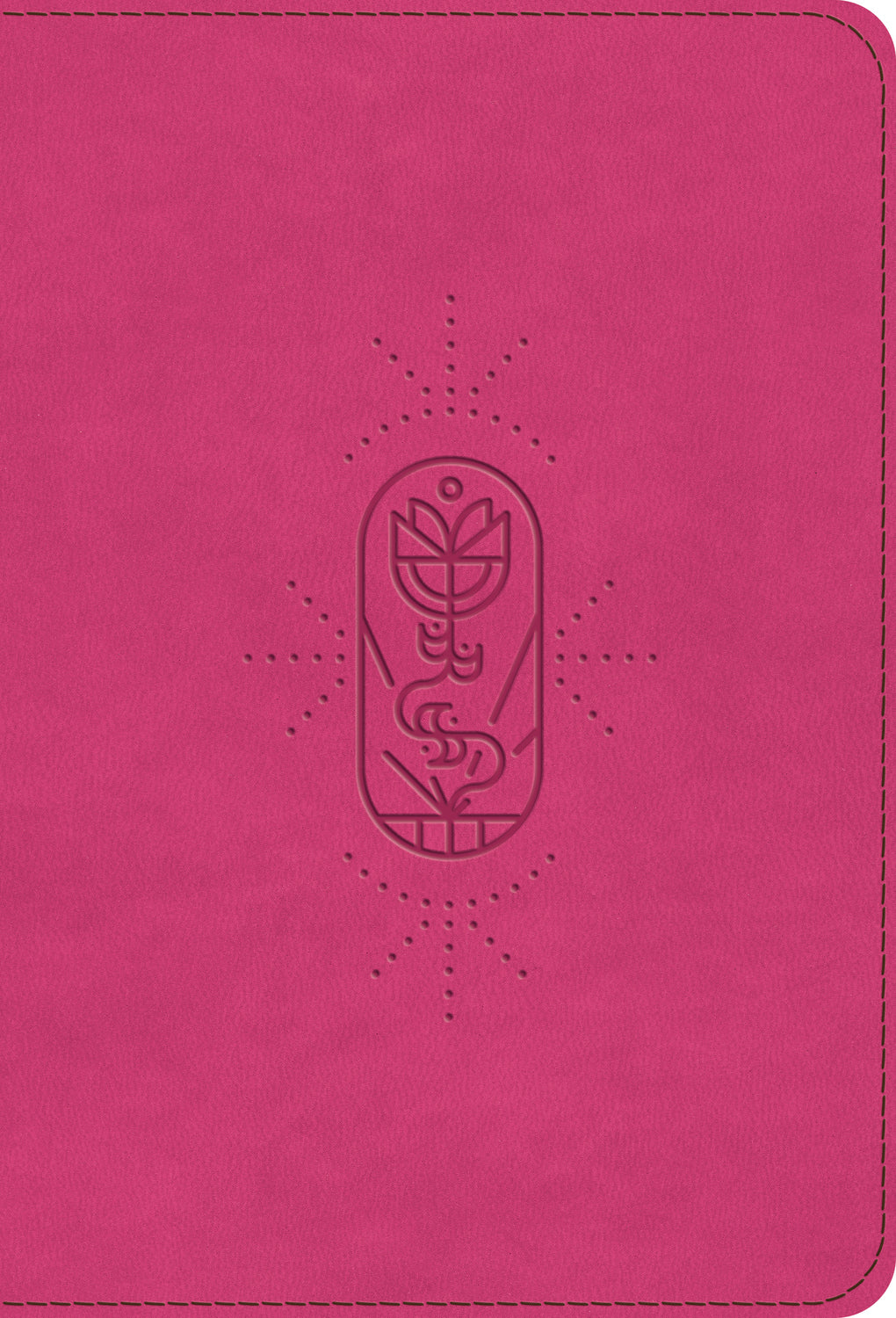 ESV Kid's Bible, Compact, Berry, The True Vine Design