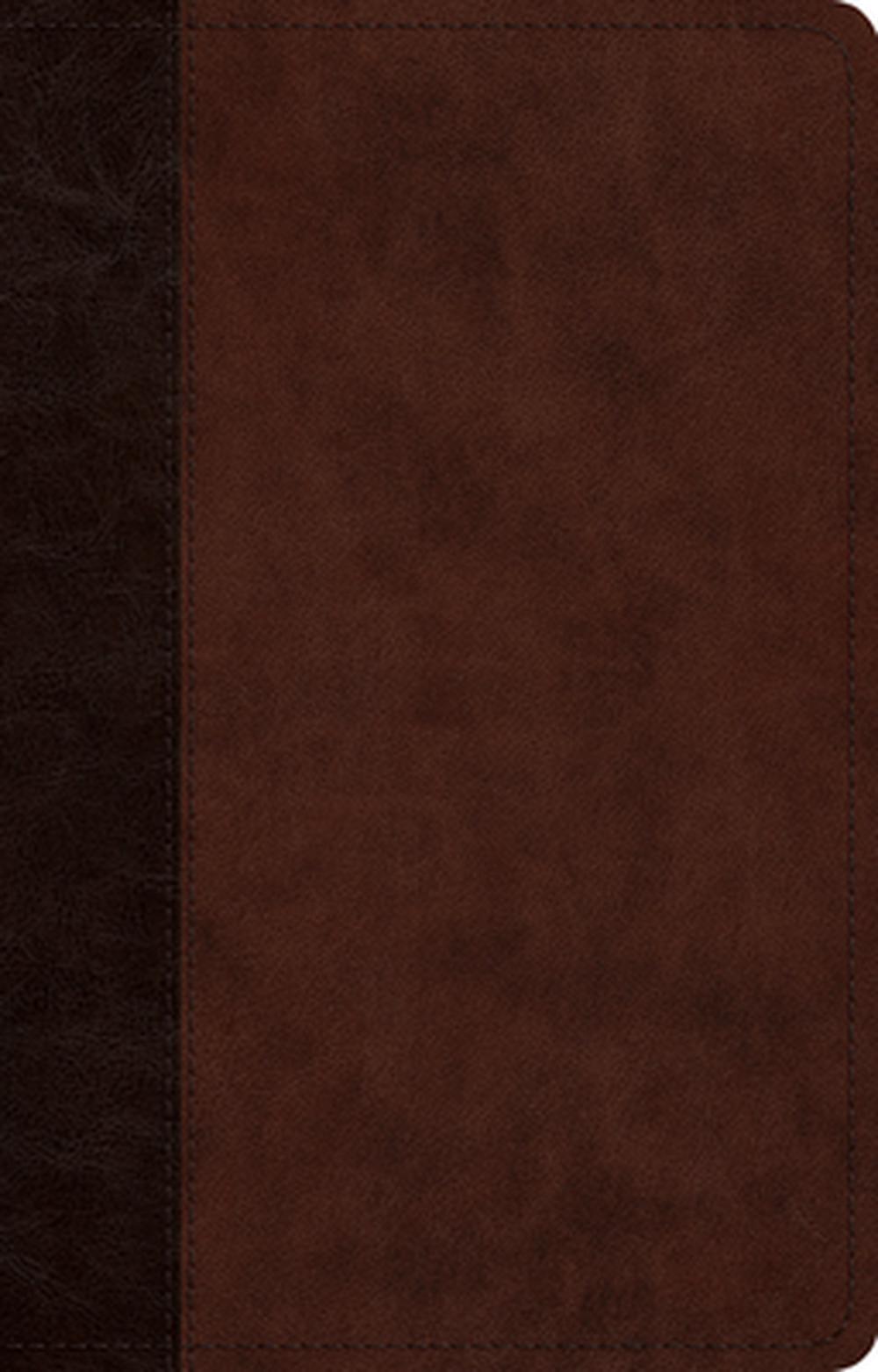ESV Large Print Thinline Reference Bible (Cover A) - Re-vived