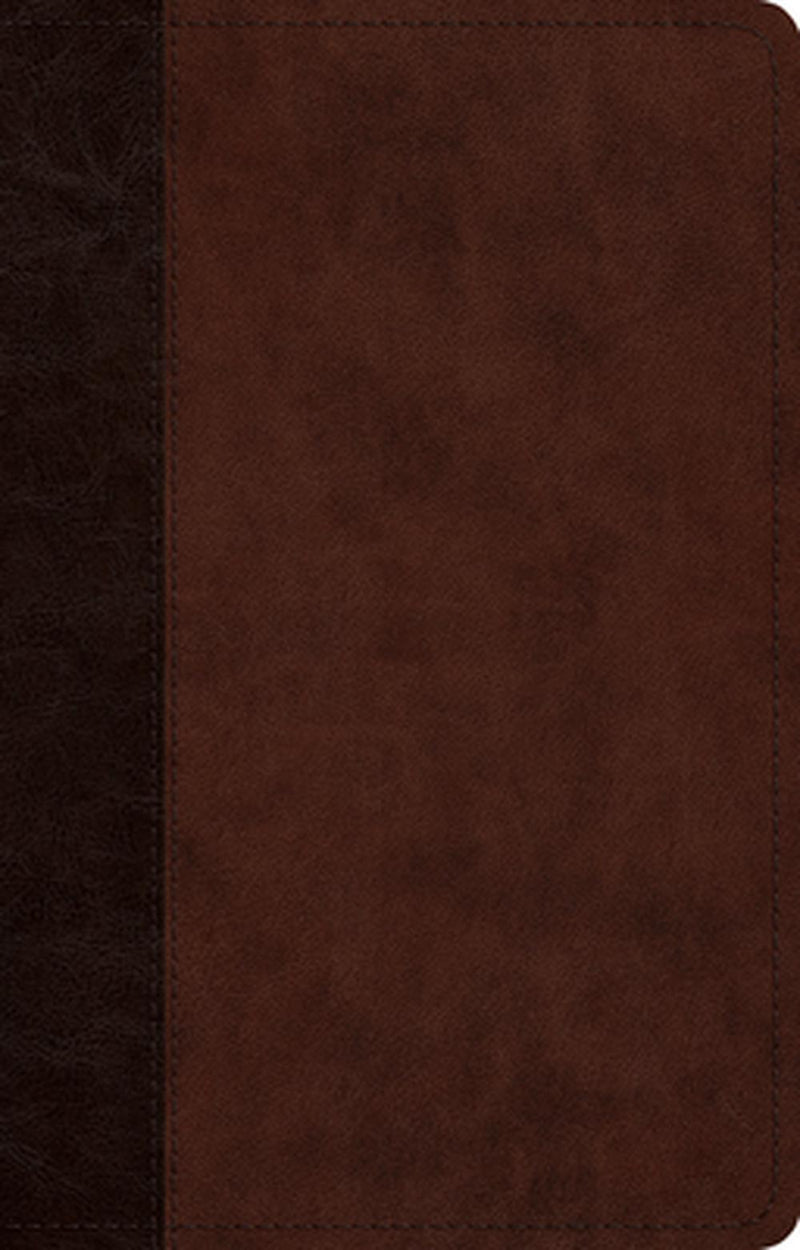 ESV Large Print Thinline Reference Bible (Cover A)