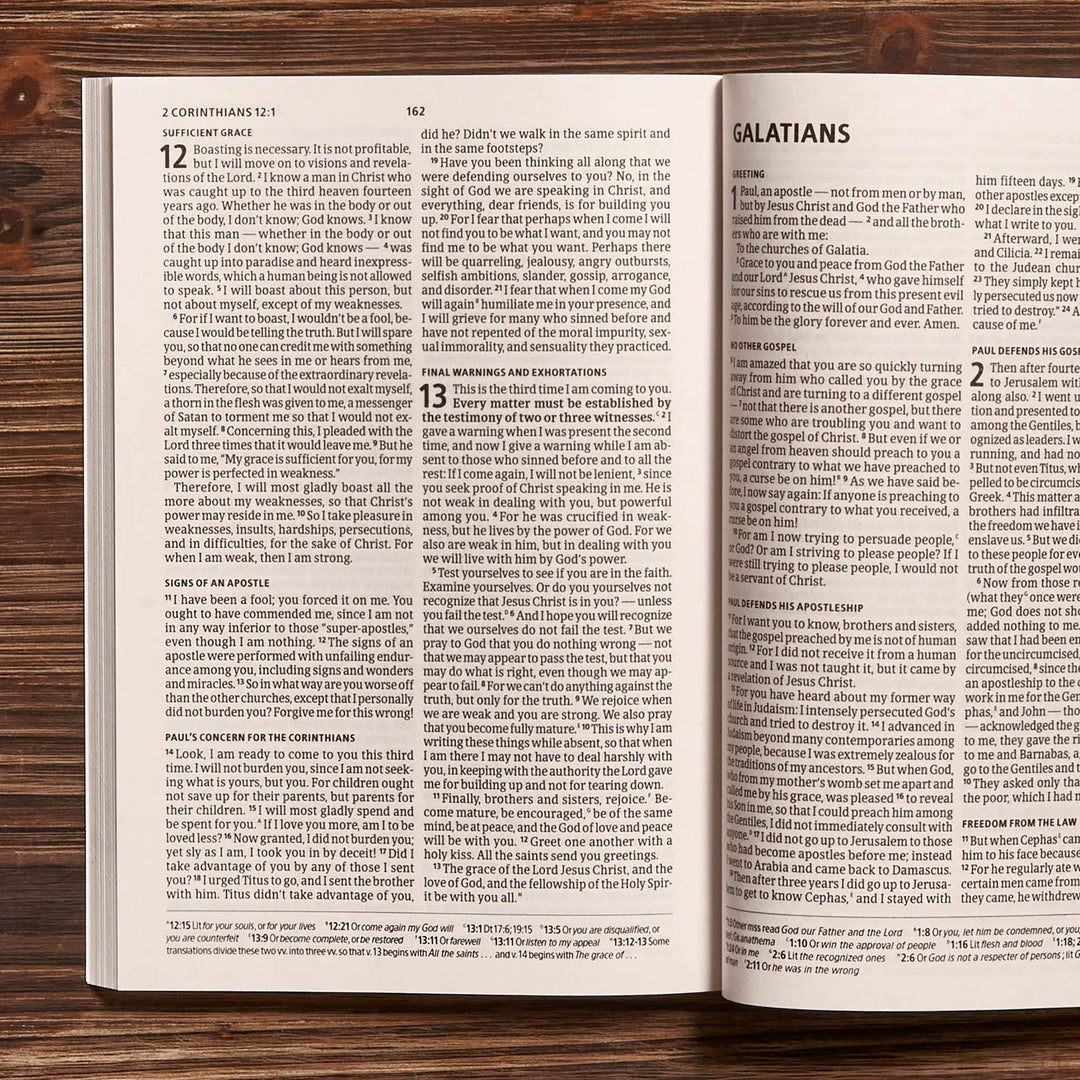 CSB The Invitation New Testament - Re-vived