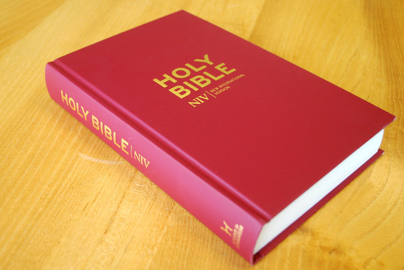 NIV Popular Burgundy Hardback Bible - Re-vived