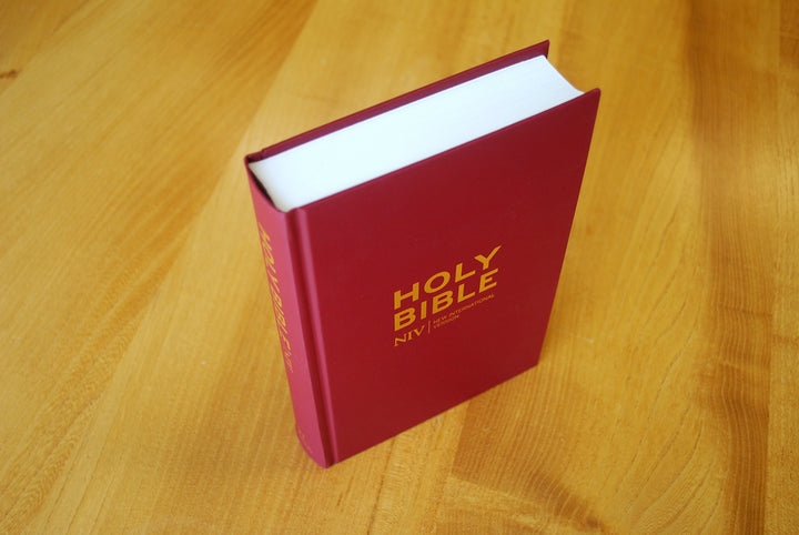 NIV Popular Burgundy Hardback Bible - Re-vived