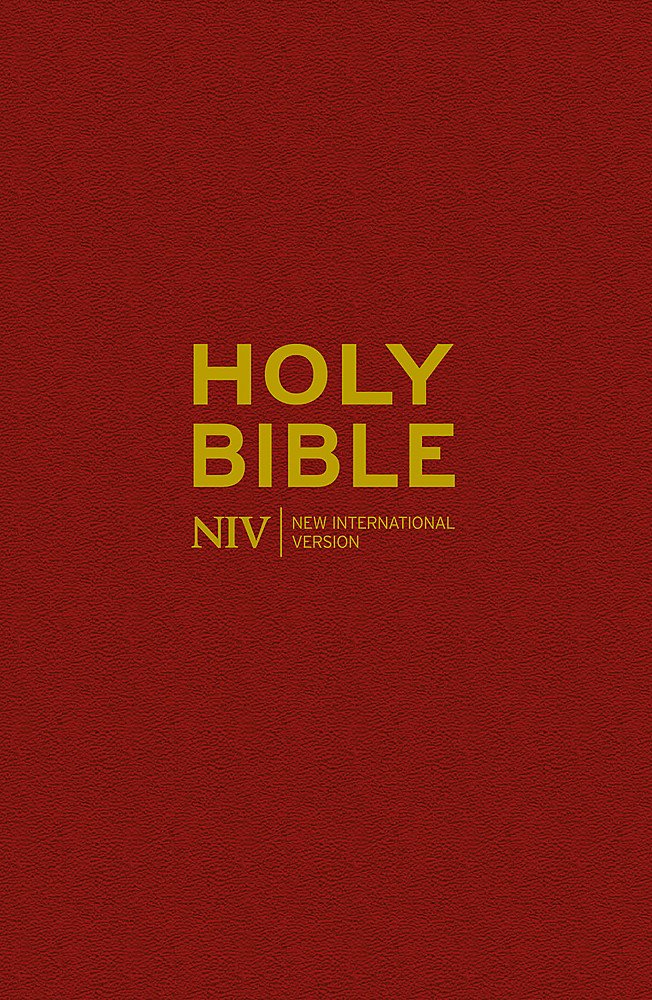 NIV Popular Burgundy Hardback Bible - Re-vived