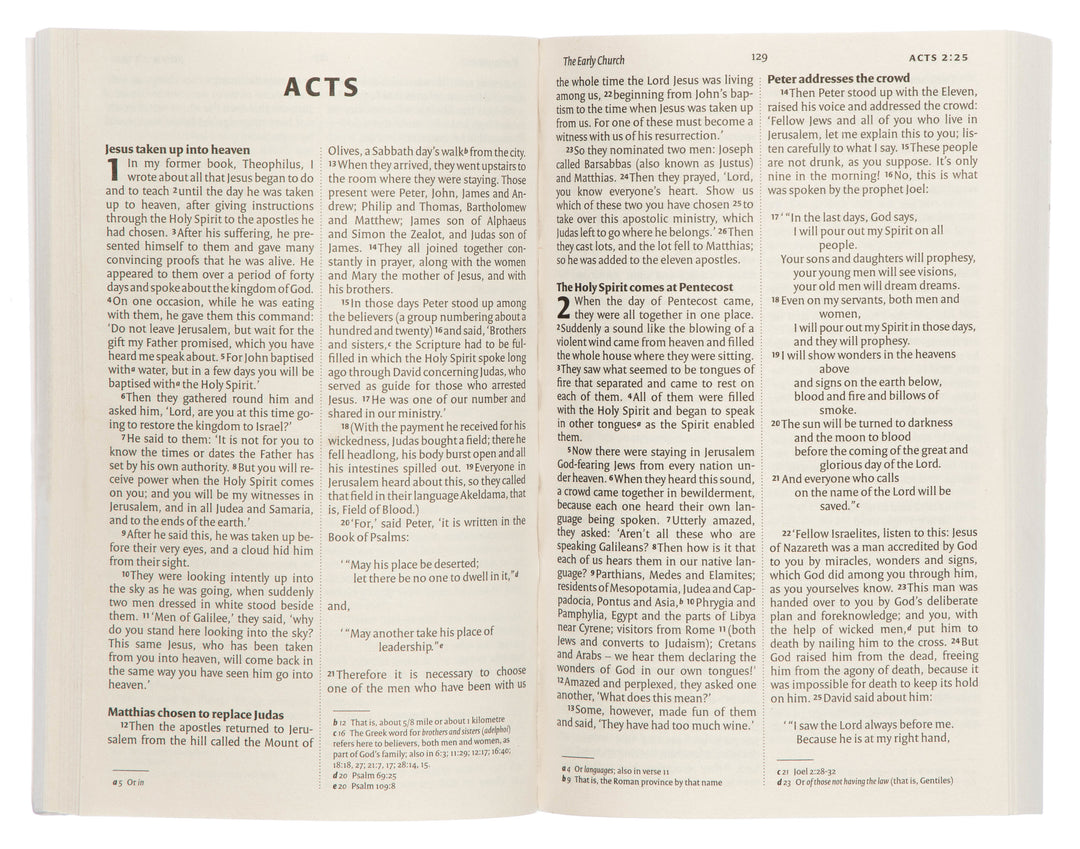 NIV New Testament Paperback