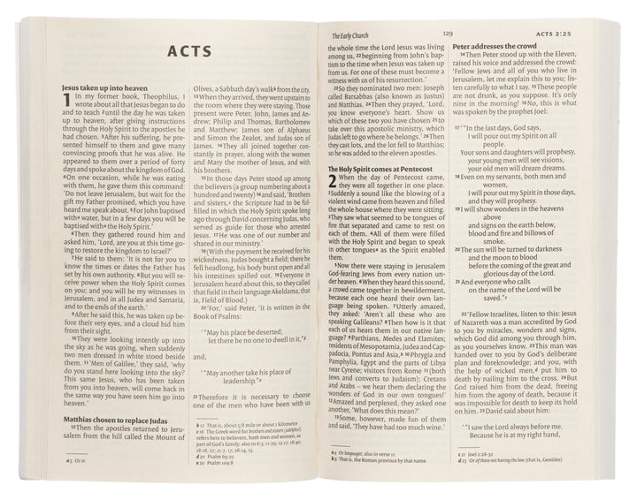 NIV New Testament Paperback