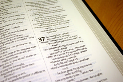 NIV Black Morocco Leather Lectern Bible