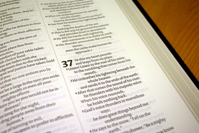 NIV Black Morocco Leather Lectern Bible