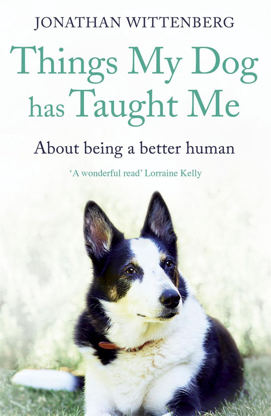 Things My Dog Has Taught Me - Re-vived